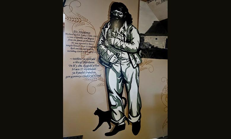 Slideshow Image 7