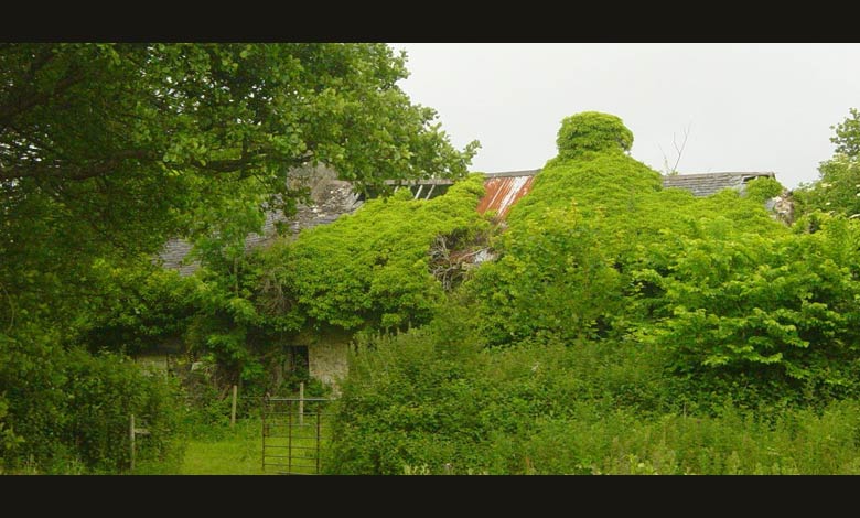 Slideshow Image 1