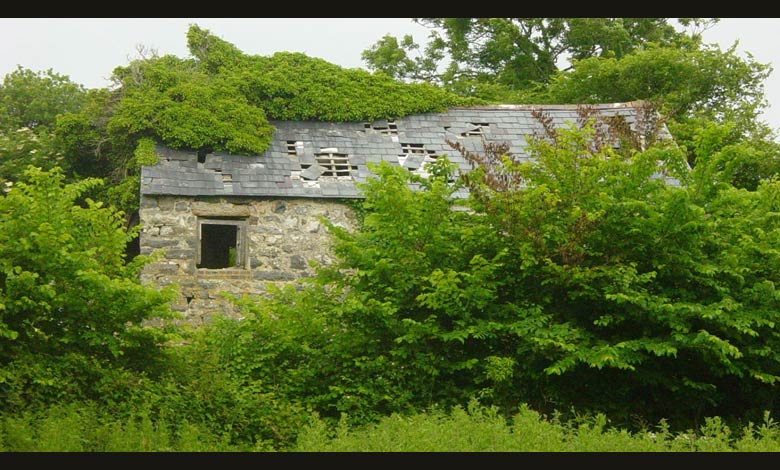 Slideshow Image 2